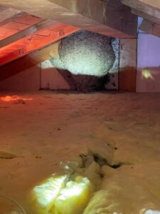 Gigantesco nido di vespe nel sottotetto di una villa a Tirolo: intervenuti i vigili del fuoco 3 394511198 319949040647933 7122201354723503852 n